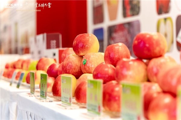 股票配资官网开户 县乡镇100%覆盖！顺丰携手多方拓渠道，让“好果”出乡更顺畅